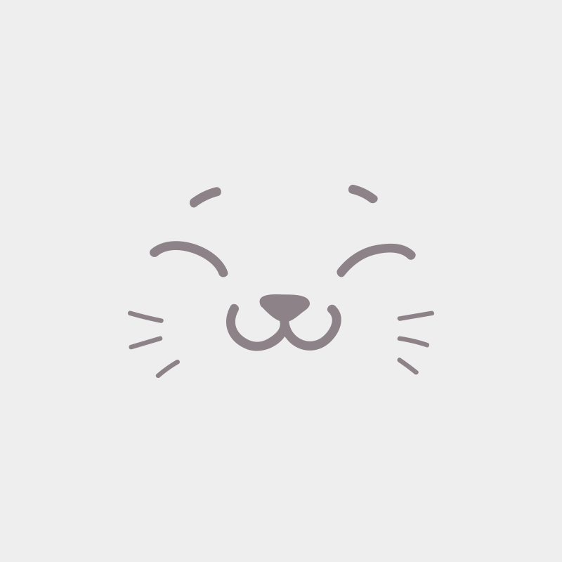 AYLA BOOTZ'S Femelle British Shorthair AYLA BOOTZ'S Femelle British Shorthair